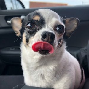 Meet your Posher, Angi